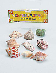 LG ASST SHELLS