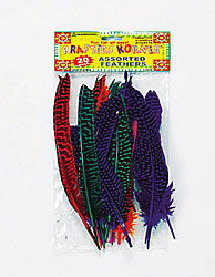 20PK CRAFT FEATHERS X4