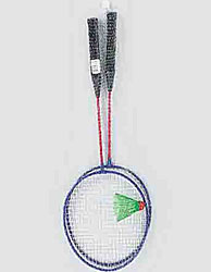 BADMINTON ST W/NET BG X3